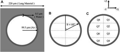 Investigation of Micron-Scale Radiotherapy Dose Deposition in the Lung: Effect of Magnetic Field and Nanoparticles—a Monte Carlo Simulation